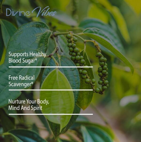 Ashwagandha - Image 4