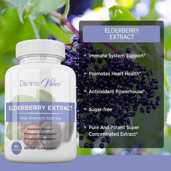 Elderberry Extract - Image 2