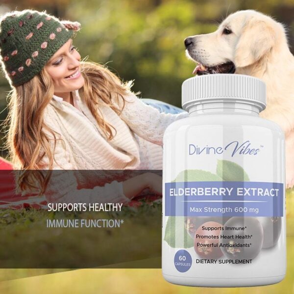 Elderberry Extract - Image 3