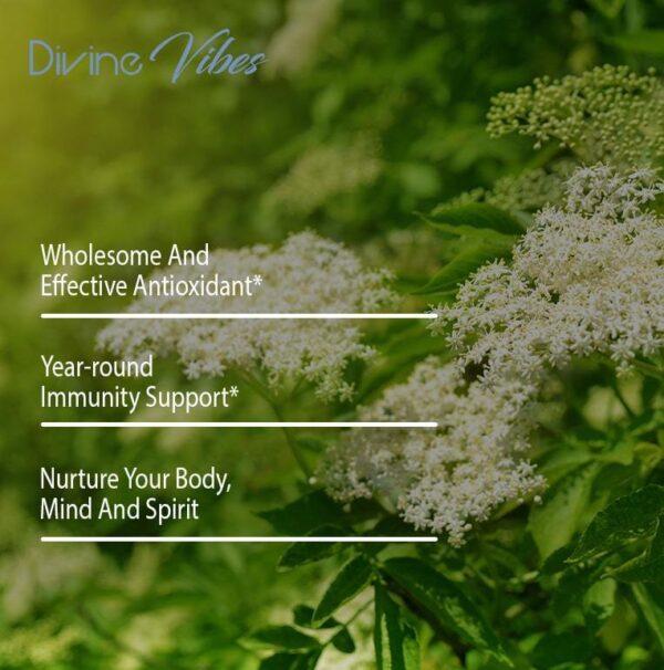 Elderberry Extract - Image 4