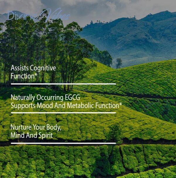 Premium Green Tea - Image 4