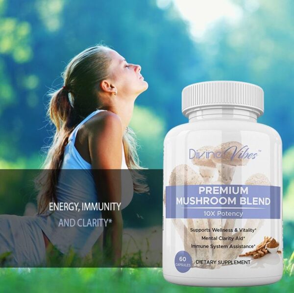 Premium Mushroom Blend - Image 3