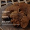 Premium Mushroom Blend - Image 4