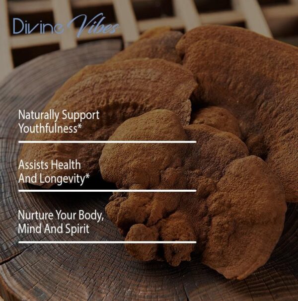 Premium Mushroom Blend - Image 4