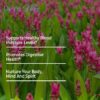 Turmeric Curcumin - Image 4