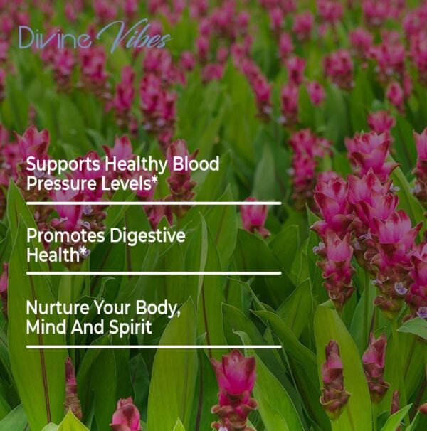 Turmeric Curcumin - Image 4